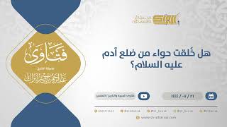 هل خُلقت حواء من ضلع آدم عليه السلام؟ - الشيخ عبدالرحمن البراك (11939) image
