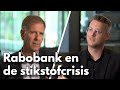 Duurzaam boeren nog vaak te duur, zegt baas Rabobank: 'Prijzen moeten omhoog' • RTL Z