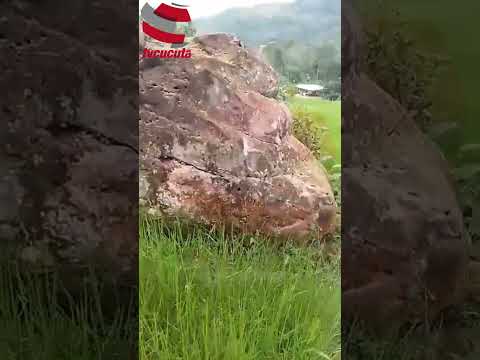 Alerta en el Catatumbo: denuncian posibles afectaciones a civiles en medio de bombardeos#Catatumbo