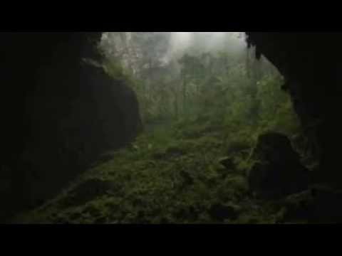 Aepiel   Aves Original Mix