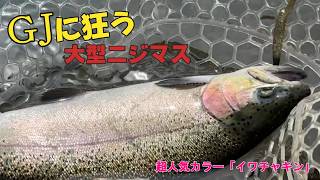 【すそのフィッシングパーク】大型ニジマスが狂ったように飛びつく！GJ「イワチャキン」が凄すぎた