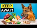 What Can German Shepherds Not Eat: Never Feed These 12 Foods to Your GSD