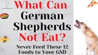 What Can German Shepherds Not Eat: Never Feed These 12 Foods to Your GSD