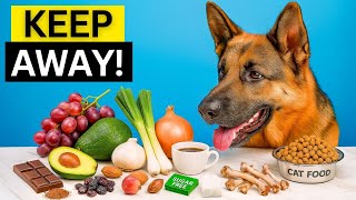 What Can German Shepherds Not Eat: Never Feed These 12 Foods to Your GSD