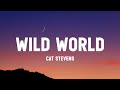 Cat stevens - wild world (Lyrics) from the Venom : the last dance ] trailer song