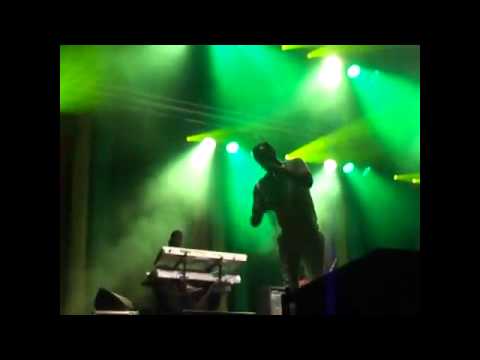 BEENIE MAN LIVE IN BELGIUM REGGAE GEEL 2014 @KingBeenieMan