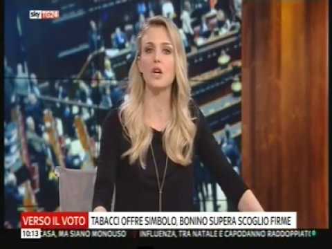 Intervista riccardo Nencini SKY TG24