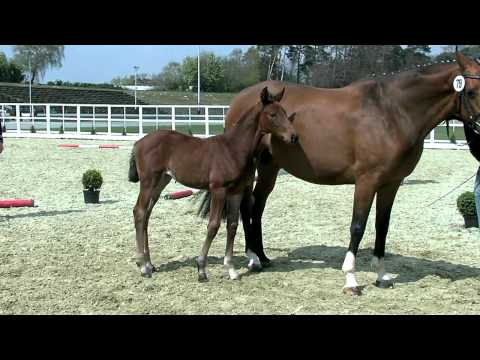 Stf_Balesteros_x_Florencio.mp4