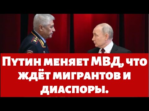 Путин меняет МВД что ждёт мигрантов и диаспоры