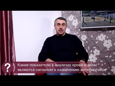 Какие показатели в анализах крови и мочи являются сигналом к назначению антибиотиков - Комаровский