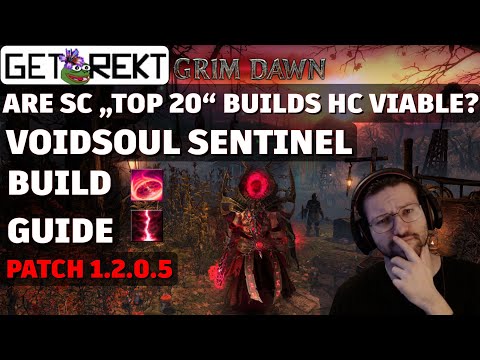 Grim Dawn Build Highlight - Voidsoul Sentinel - SC "TOP 20"