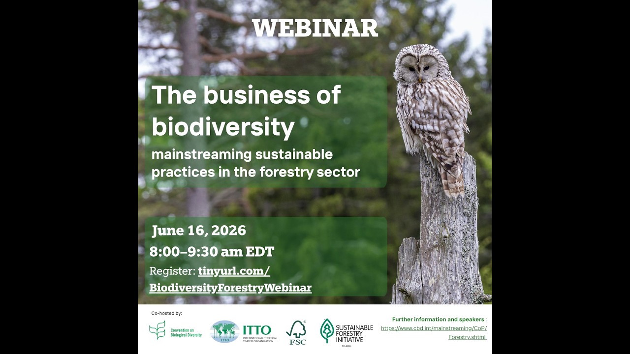 The business of biodiversity: mainstreaming sustainable practices in the forestry sector