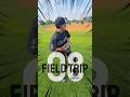 WAlK UP SONG Baseball Baseballlife Basebroz Baseballhighlights Music Walkupsong