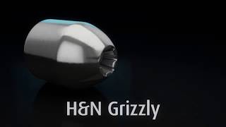 H&N Grizzly