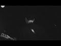 Moose - Little Bird