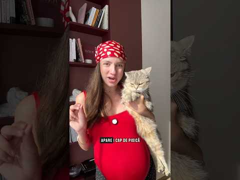 A funcționat?😻