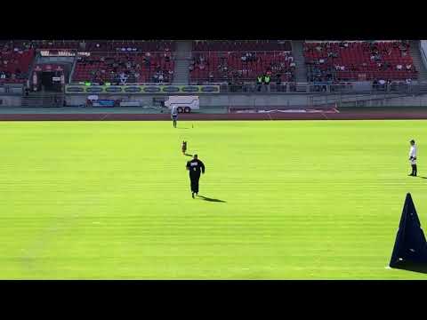 #BSZS2023 Usher aus der brunnenstraße  #TSB Passed