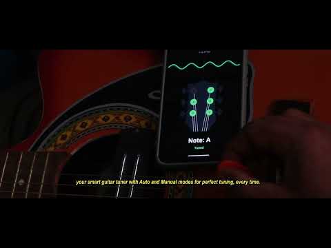 Fret Pitch