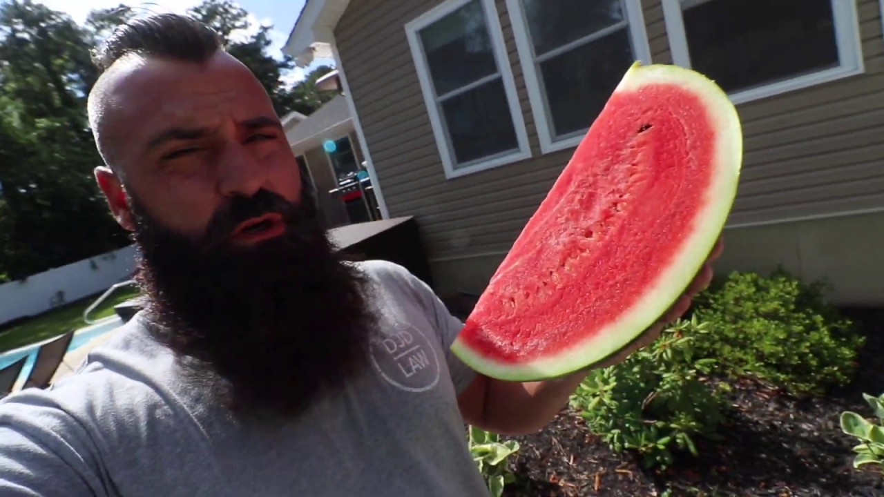 Will Ducks Eat WATERMELON??