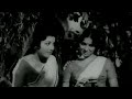 എനിക്ക് ഈ വേലിക്കരികിൽ നിൽക്കാൻ എന്ത