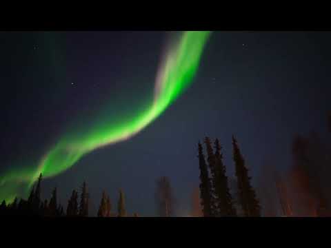 Amazing Aurora Borealis in the Skies of Alaska - 1230894