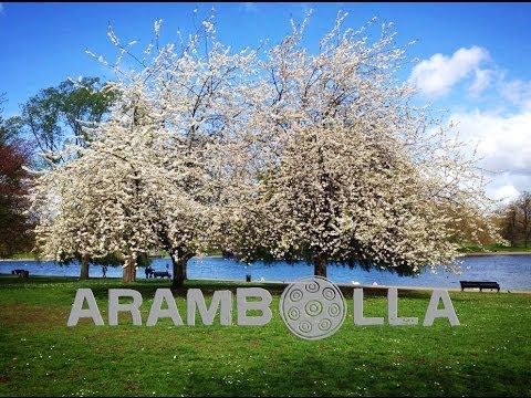 "Rostov Lullaby" - Music for the soul - Davide Swarup & Arambolla - Handpan Music