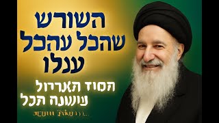 ⭐⭐⭐⭐ 