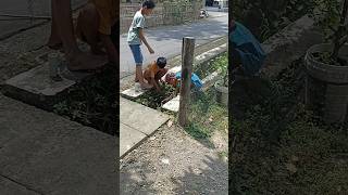 Download lagu BOCIL DAPET IKAN GABUS DI SELOKAN‼️ #shorts mp3 Download lagu BOCIL DAPET IKAN GABUS DI SELOKAN‼️ #shorts mp3