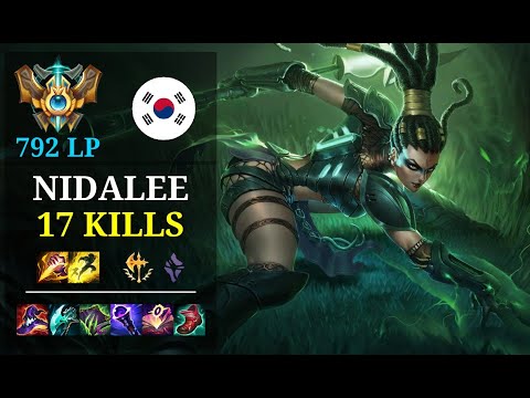 Nidalee Jungle vs Dr. Mundo - 17 kills - Ctlgxxx KR Challenger (792 LP) Patch 11.3