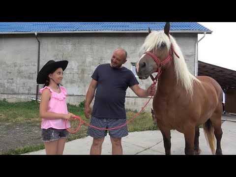 Iepele lui Pufi de la Gilau, Cluj 25 Iunie 2021