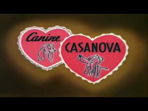 5 HORAS DE CLASSICOS DA DISNEY DESENHOS  DE MICKEY , PATO DONALD , TICO E TECO , PLUTOS ,