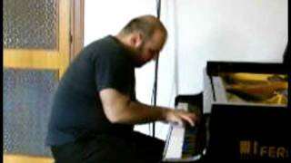 Not To Be Forgotten - Pat Metheny - performed by Mauro Mulas.avi