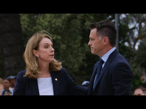 ‘Very helpful to us’: Minns praises NSW Opposition for helping push for ‘major changes’