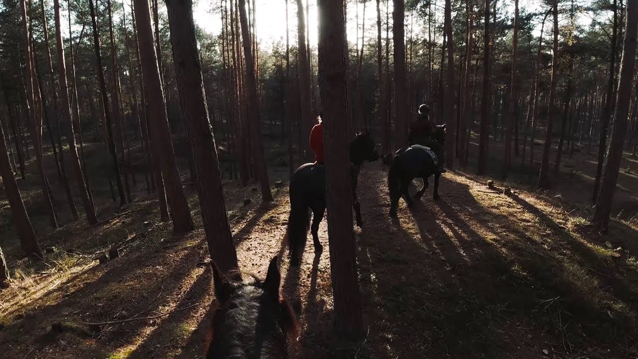 Buitenrit - De Veluwe - De Vrijenberg | #2