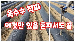 옥수수 직파 혼자서도 잘해요