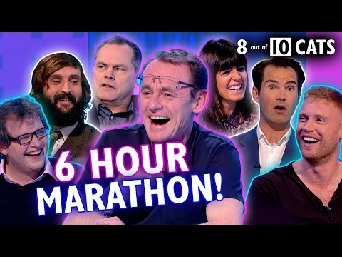 Fall asleep to this: 6 hours of relaxing laughs | 8 Out Of 10 Cats