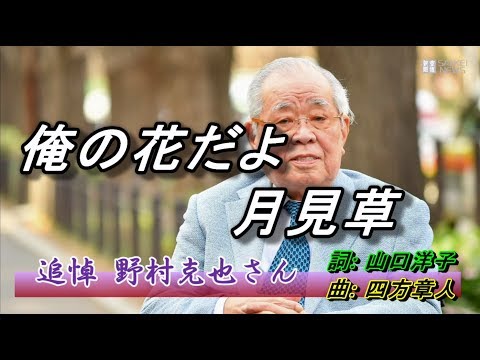 野村克也の曲で『俺の花だよ月見草』 #維特の演歌世界