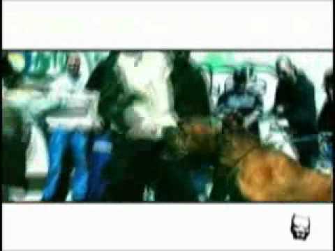 Souldia - Mauvais poils