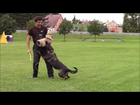 Yennie z Jukasu - protection training - 2 years