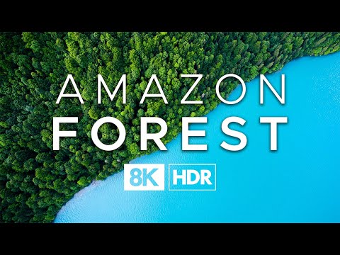 Amazon Forest in 8K ULTRA HD HDR - Lungs of the Earth (60 FPS)