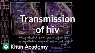 Transmission of HIV  Infectious diseases  NCLEX-RN