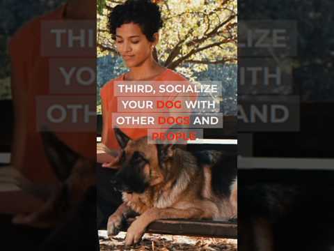 Essential Training Tips for New Dog Owners – Expert Advice #dogtraining