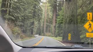 My New Hood | Scenic drive from Crescent City to Gasquet, California