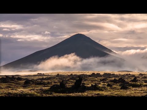 Stasa Mirkovic Grujic - Marcel Tournier: Sonatine for Harp Op.30/Fièvreusement