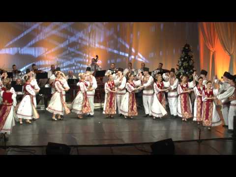 CONTRATIMP - ANSAMBLUL TIMISUL - OPERA NEW