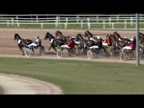 2017.05.27. 8. futam - LOVASÉLET SPRINTER KUPA