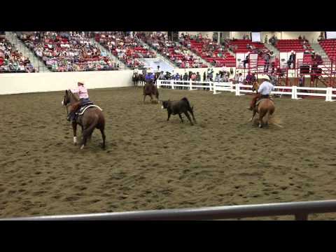Mary Jo Milner's Championship Cutting Horse Run, Calgary Stampede 2014