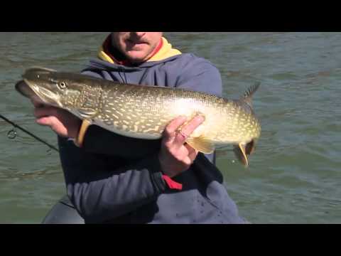 Team HDFreak goin' pike fishing at the Åland Islands