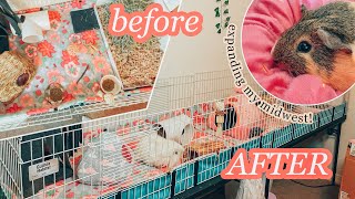 EXPANDING MY MIDWEST GUINEA PIG CAGE! // Cage Tour & Upgrades 🌺