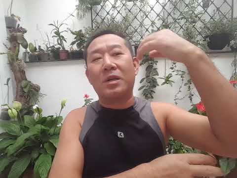 How to avoid injuries during training!